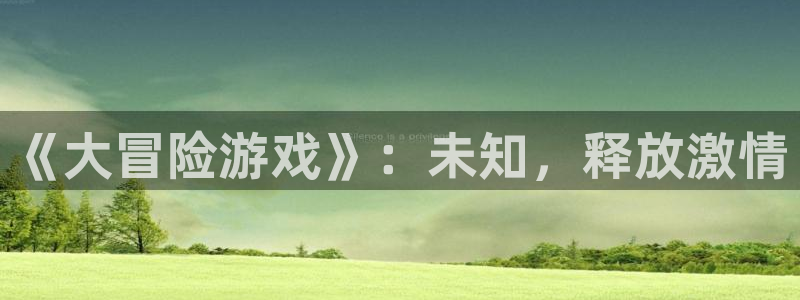 《大冒险游戏》：未知，释放激情