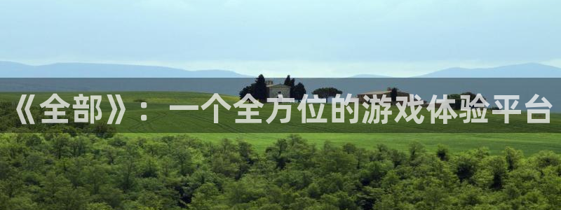 《全部》：一个全方位的游戏体验平台