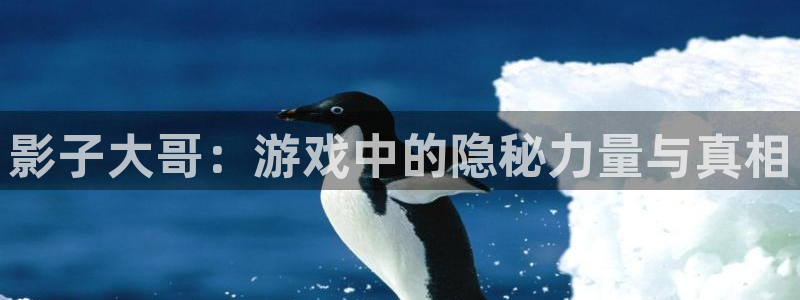 j9驾驶证：影子大哥：游戏中的隐秘力量与真相