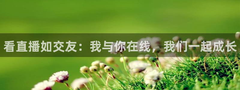 松鼠直播体育免费