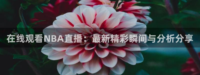 新闻图片